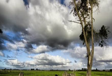哪里买世界杯 -云豹智能申请USB协议分析装置专利，显著提升USB协议分析的深度和适用性