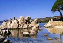 世界杯竞彩竞猜pp -CBA季后赛：广州队客场战胜广东队